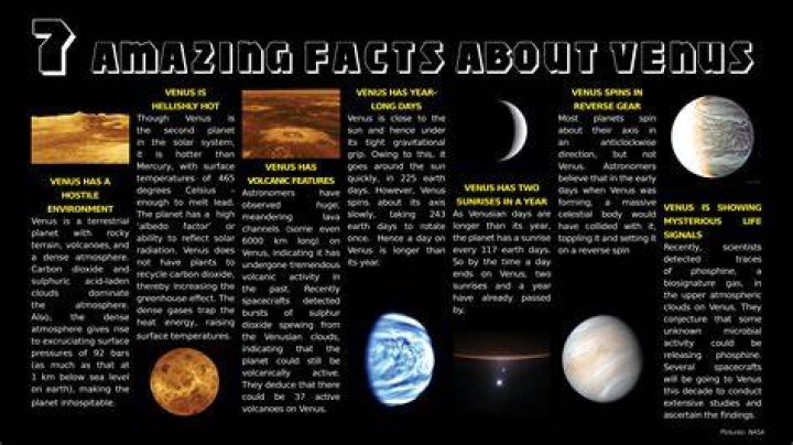 12 INTERESTING FACTS ABOUT VENUS Trendpickle