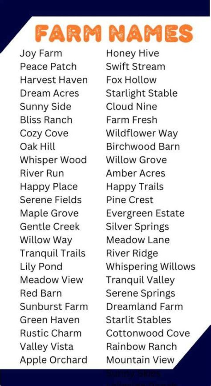 200 Best Farm Names for Stardew Valley Cute, Funny and More!