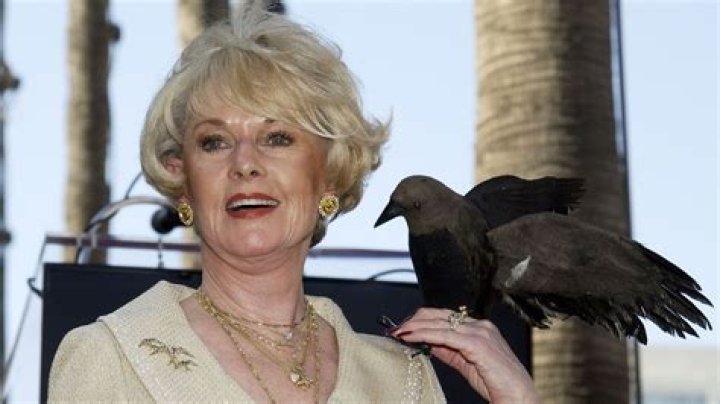 90YearOld Tippi Hedren Still Lives With Lions And Tigers At Home