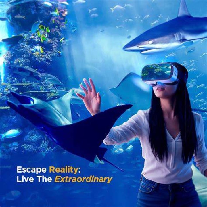 A Dive into the Extraordinary