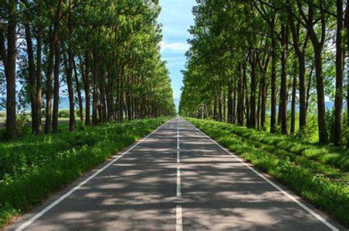 a long road with trees and mountains in the background that reads