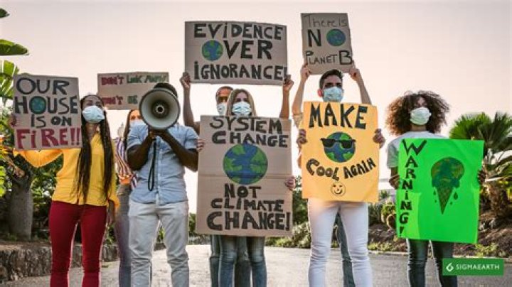 Activist, Xolo-dimitrov