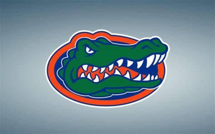 AllTime Gators in the NFL Jevon Kearse Gators Wire