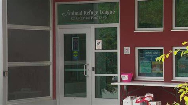 Animal Refuge League in Westbrook Animal Refuge League 217 Landing Rd