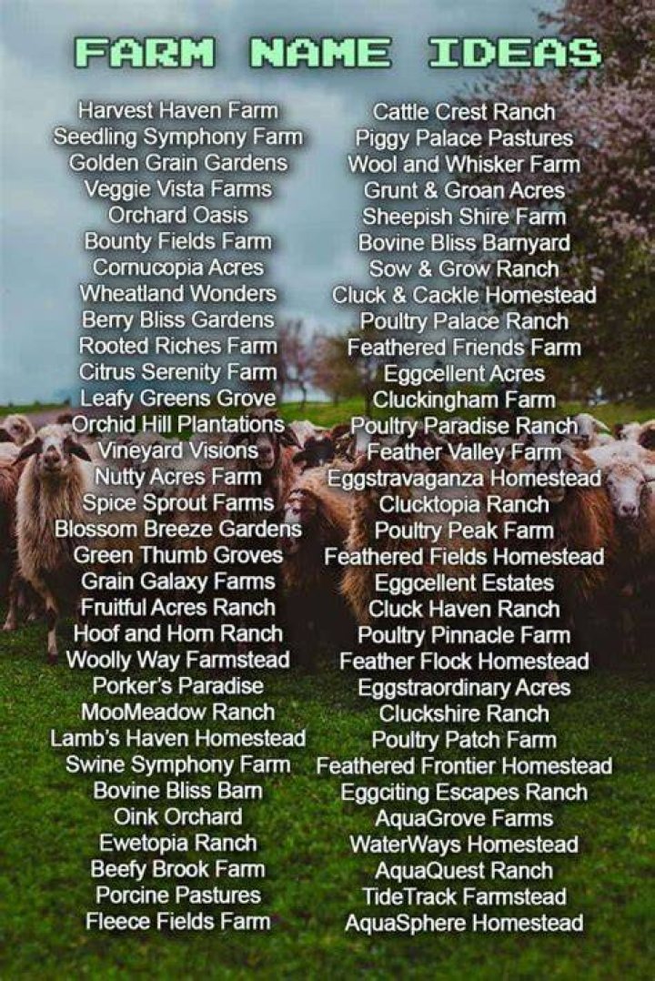 Best Farm Names 300+ Ranch Name Ideas