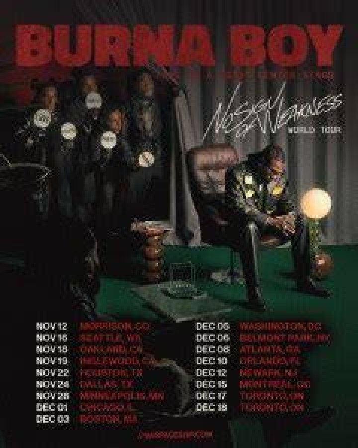 Burna Boy Tour 2024
