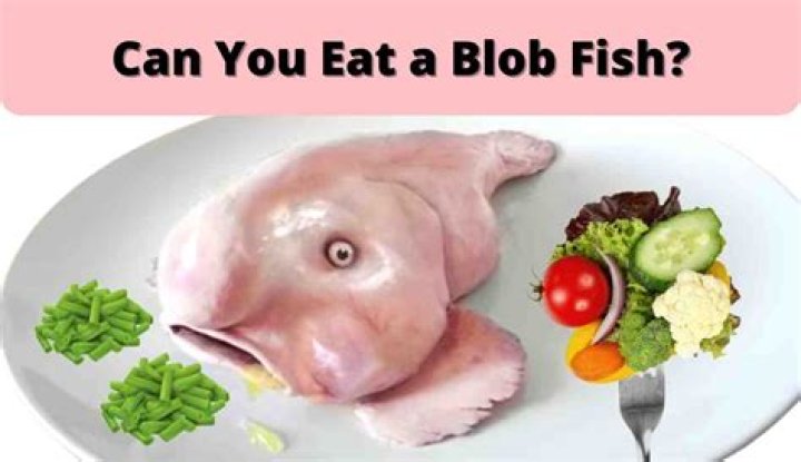 Can You Eat Blobfish and How Does It Taste? American Oceans