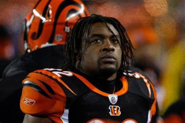 Cedric Benson Net Worth