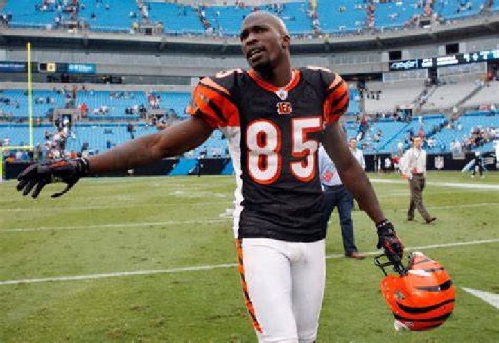 Chad Ochocinco Net Worth In 2022 YOUTHFUL INVESTOR