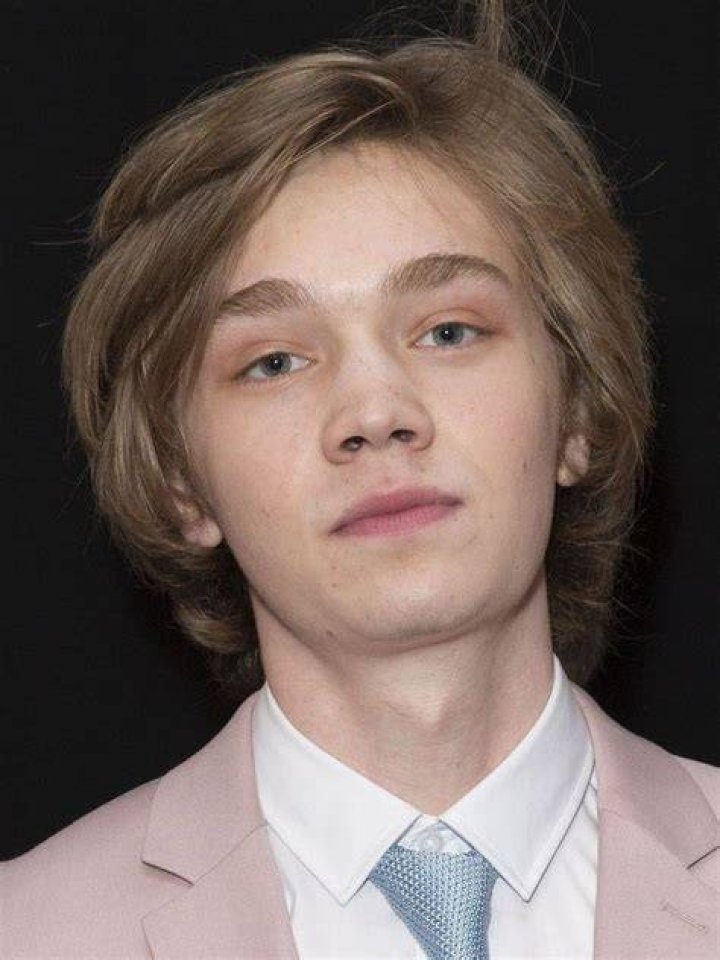 Charlie Plummer About Entertainment.ie