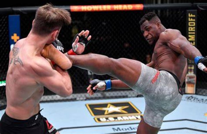 Confirmed Francis Ngannou to fight heavyweight champion Stipe Miocic