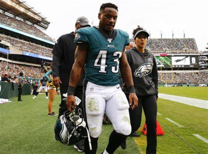 Darren Sproles Bio, Weight, Height, Wife, Family, NFL Career Other Facts