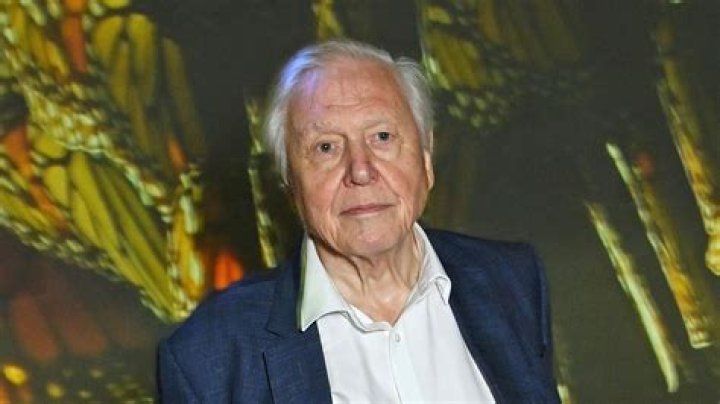 David Attenborough death scare as BBC legend trends on Twitter Daily Star