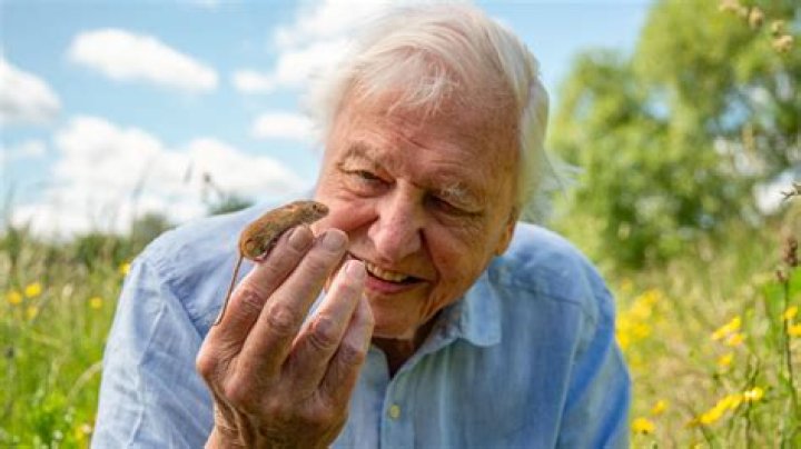 David Attenborough why at 93 I'm only 'mildly worried' about coronavirus