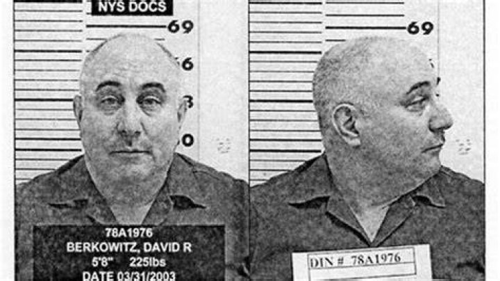 David Berkowitz Biography