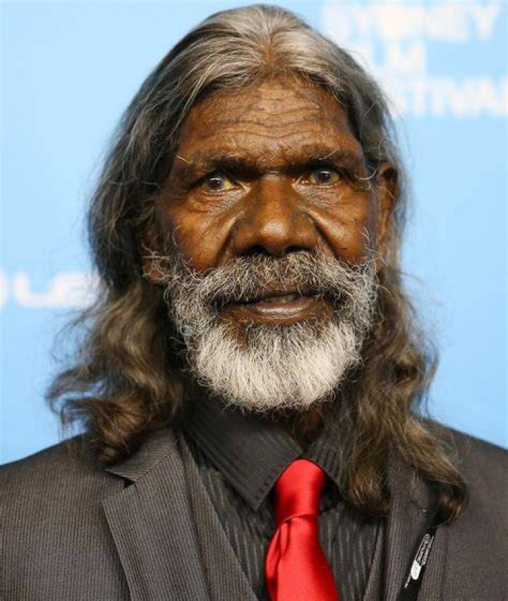 David Gulpilil, Famed Aboriginal Actor, Dies at 68 The New York Times