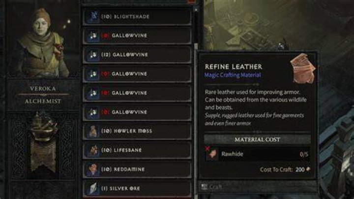 Diablo 4 Superior Leather