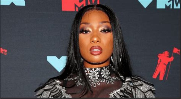 Does Megan Thee Stallion Have Kids? The Rapper Has Five "Sons"