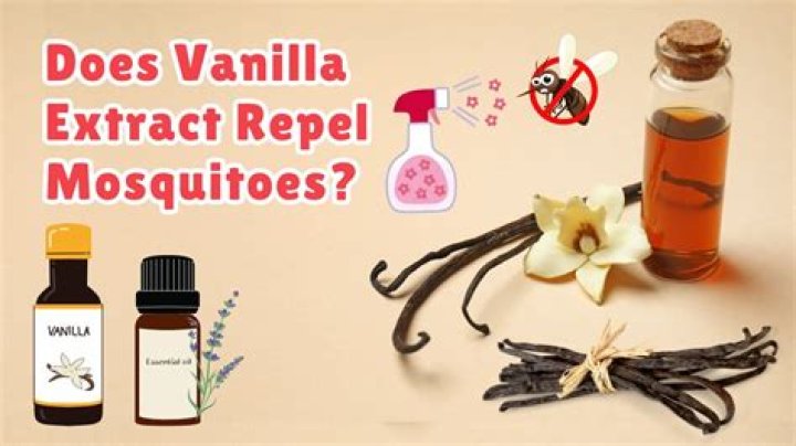 Does Vanilla Extract Repel Mosquitoes?