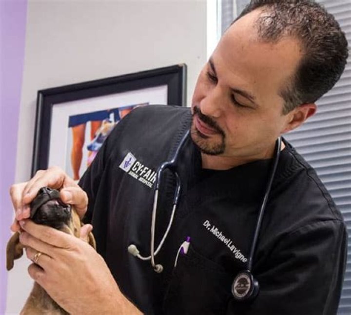 Dr. Michael Lavigne is Black American ethnicity