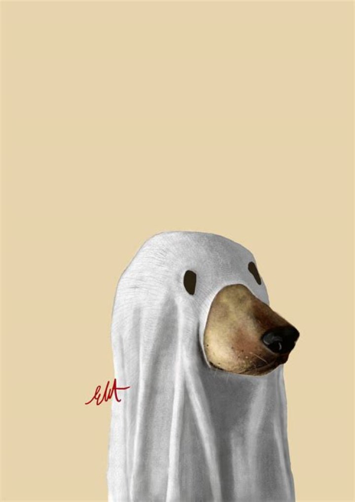 Drawlloween Day 1 GHOST DOGGO by Meirein on DeviantArt