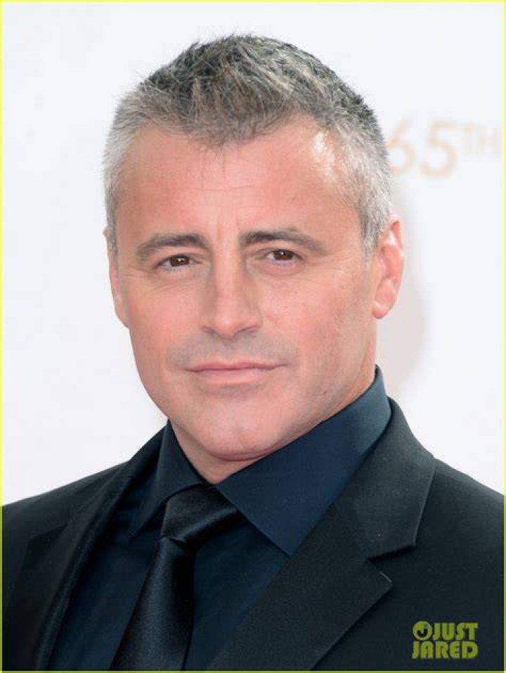 Emmys Watch Matt LeBlanc on 'Episodes' The New York Times