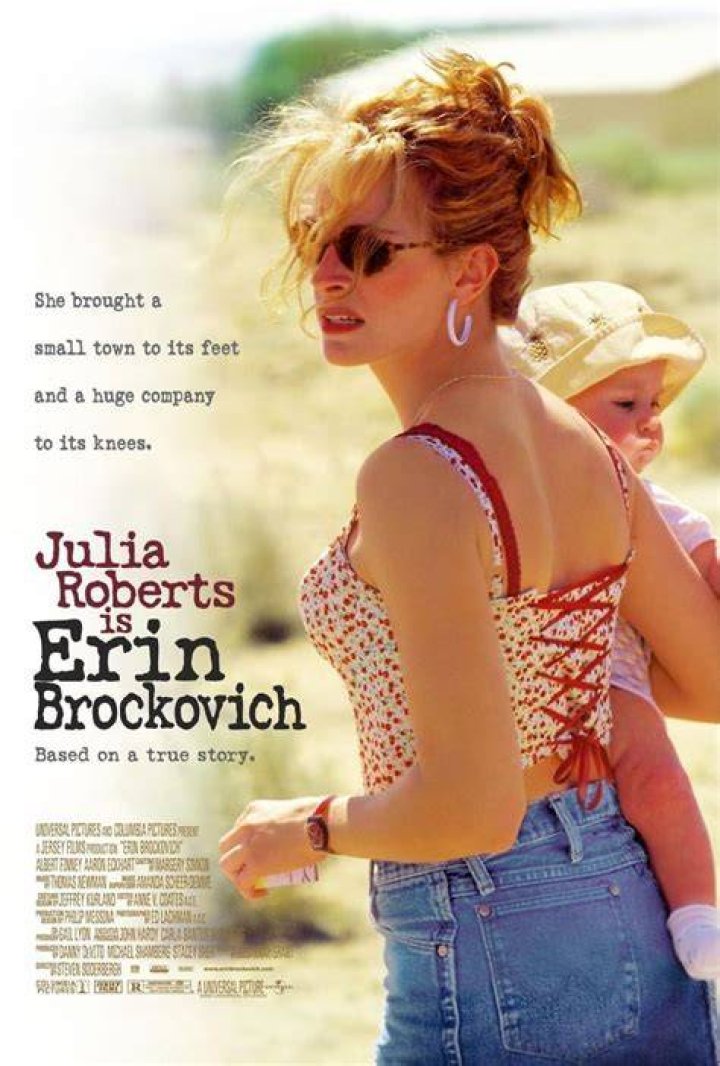 Erin Brockovich HaseebKajetan