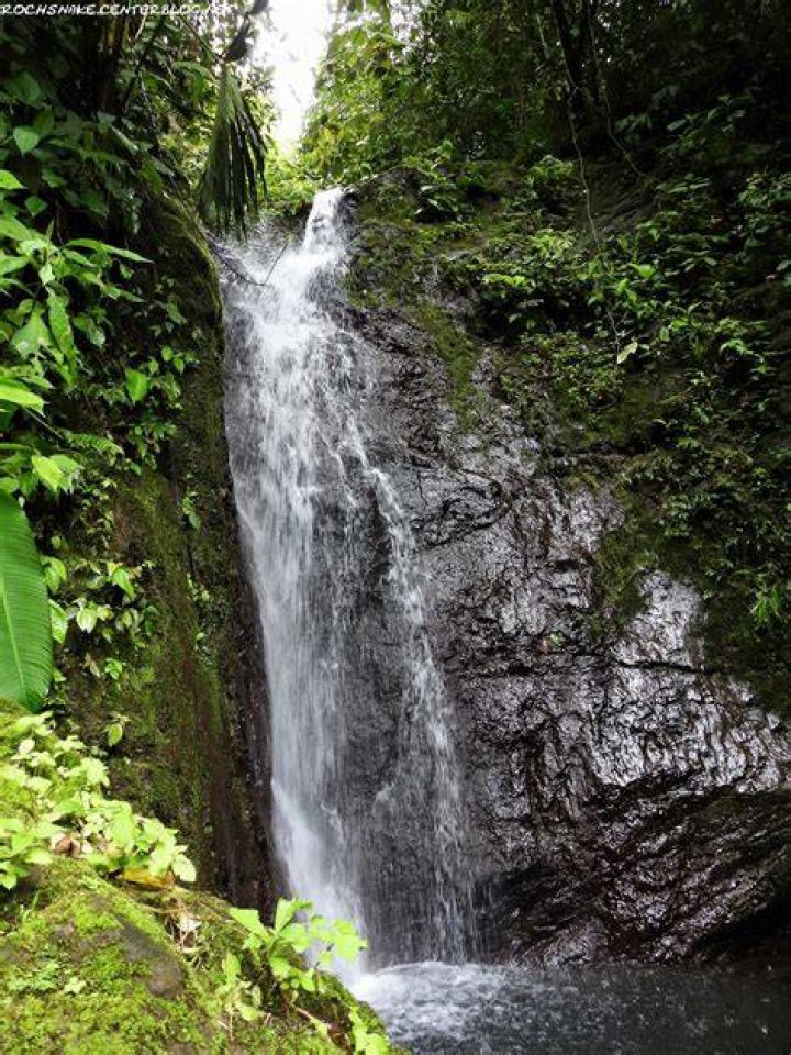 Excursi&oacute;n a Cartago, Volc&aacute;n Iraz&uacute; y Sarapiqu&iacute; desde San Jos&eacute;