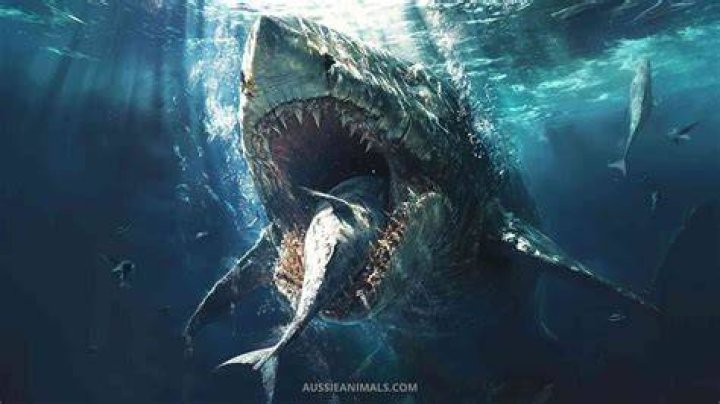 GIANT MEGALODON CREATURE FROZEN DEEP IN THE ICE OF ANTARCTICA(!)2ND ICE