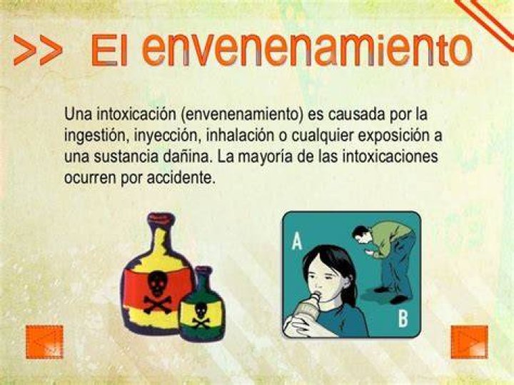 Gu&iacute;a Completa sobre Envenenamiento en Gatos S&iacute;ntomas y Qu&eacute; hacer
