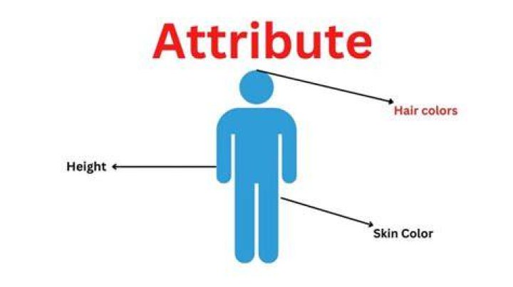 Height As A Positive Attribute, Xolo-dimitrov