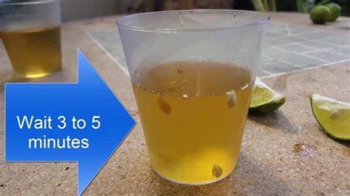 homemade pregnancy test with lemon juice YouTube