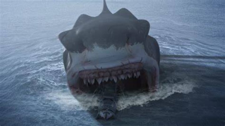 Horror Moth Il fenomeno Megalodonte, da met&agrave; '800 ad oggi