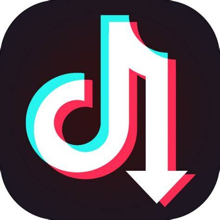 How a TikTok Downloader Became a Popular Archive for Deleted Videos
