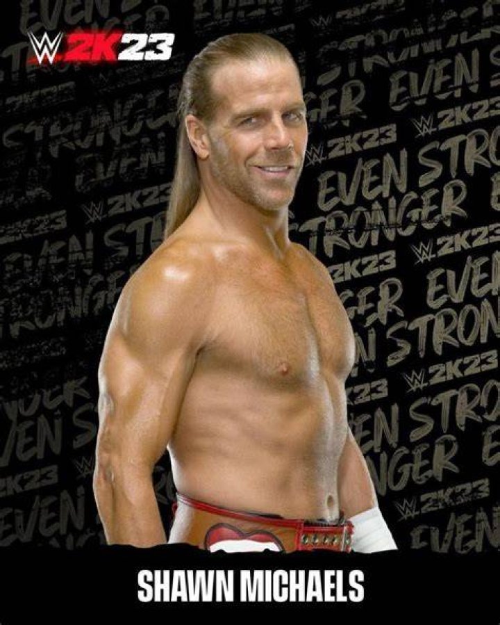 How did Shawn Michaels meet his wife?