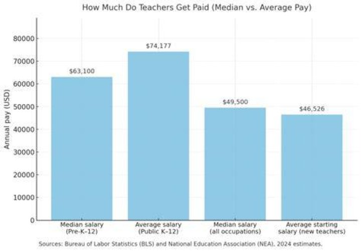 How Much Do Teachers Earn in South Africa? CoMoney