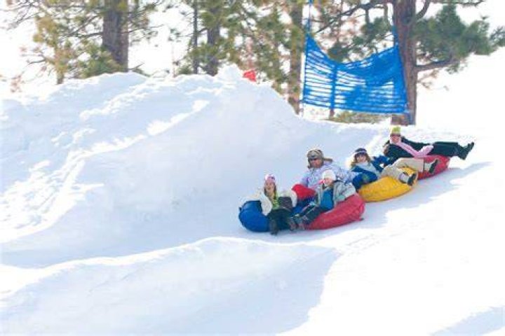 How much snow does Williams AZ get? ·