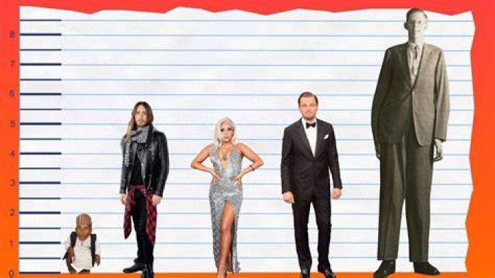 How Tall is Jared Leto? Jared Leto's Height How Tall Height