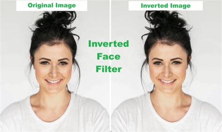 Is The Inverted Filter Accurate Here&rsquo;s The Answer BrunchVirals