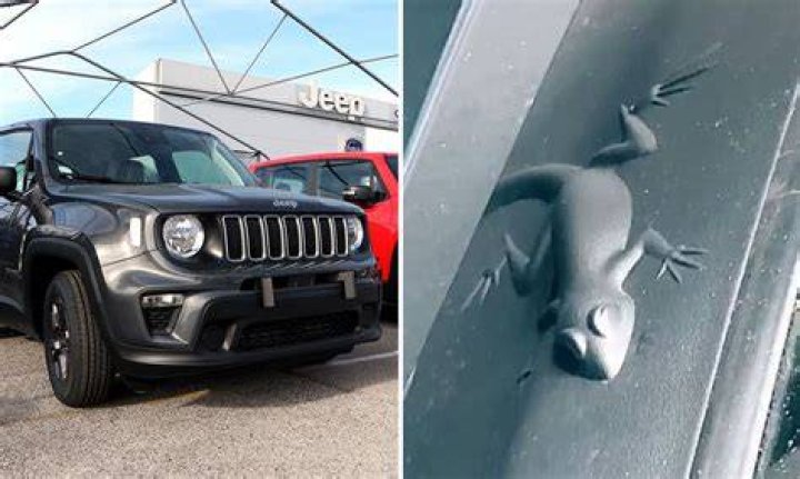 Is There A Hidden Animal On Every Jeep? Celebrity |