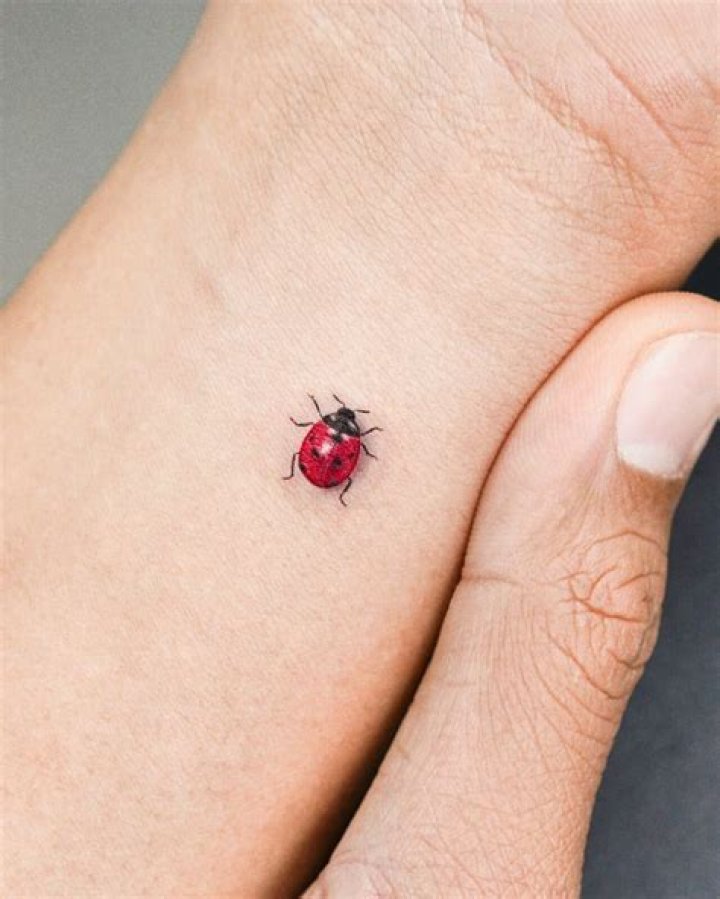 ladybug tattoos, finger, small tattoo ideas Lady bug