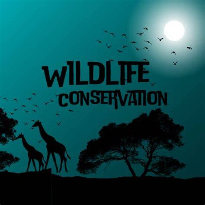 Leading The Charge In Wildlife Conservation