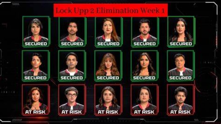 Lock Upp contestant and designer Saisha Shinde formerly known as