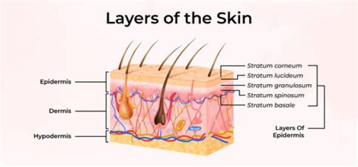 &lsquo;Shed a layer of skin&rsquo; All Creatures actor Samuel West on how
