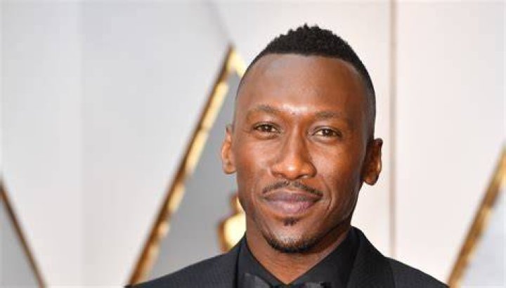 Mahershala Ali Shares An Adorable First Photo Of His Daughter Bari 99