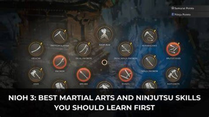 Martial Arts Skills, Xolo-dimitrov