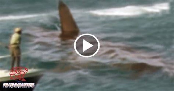 Megalodon Shark Caught on Tape NASA Satellite Footage?! Real of Fake