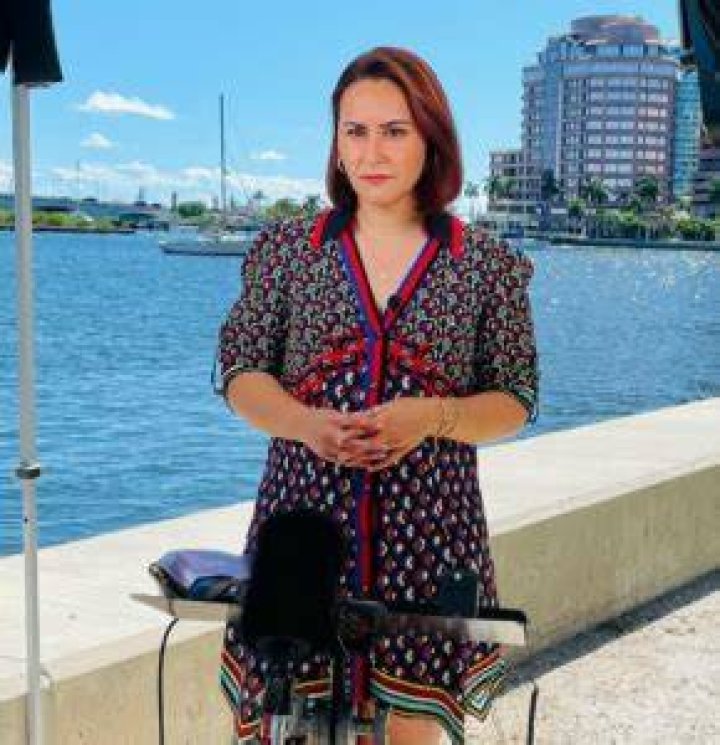 MSNBC Is Ali Vitali pregnant by her partner Jeremy Diamond? Condotel