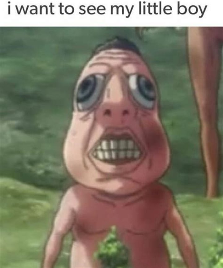 Nuuuuuu Attack on titan funny, Anime funny, Twd funny