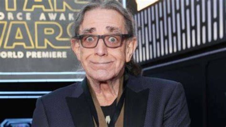 Peter Mayhew Bio, Wiki, Net Worth, Death, Funeral, Married, Wife, Age
